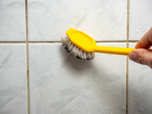 Best Affordable Mold Removal  in Clarksville, TX