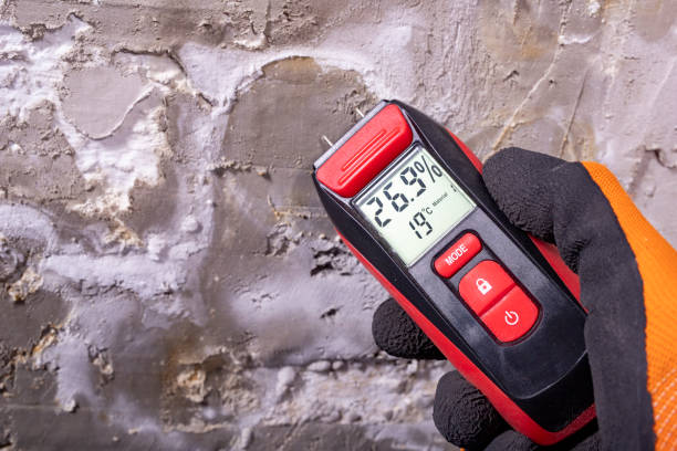 Best Same-Day Mold Removal  in Clarksville, TX
