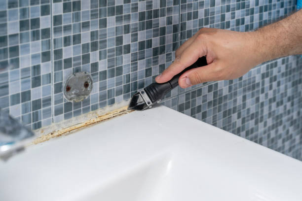 Best Emergency Mold Removal  in Clarksville, TX