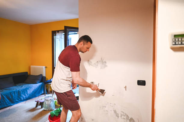 Best Black Mold Removal  in Clarksville, TX