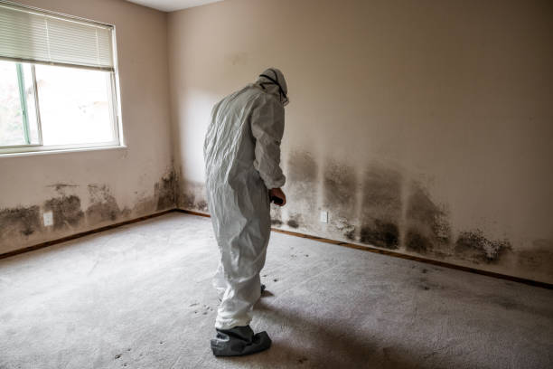 Best Mold Testing  in Clarksville, TX