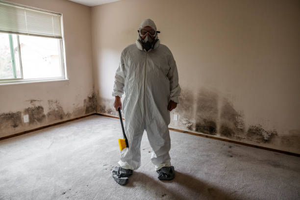 Best Crawl Space Mold Removal  in Clarksville, TX